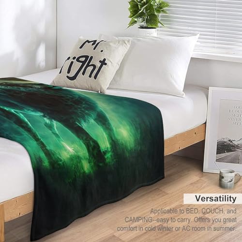 Couvertures de lit flannel lion chaude jeté de canapé 130x150 - 6