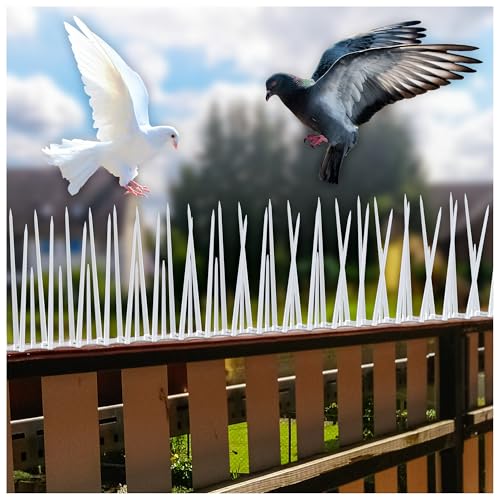 Eightiz (10 Pcs with Zip Ties) Bird and Pigeon Spikes, Control Anti Bird Plastic Spikes for AC Balcony Railing Window Home Protection from Pigeon Dog Monkey Crow Kabootar Transparent(Polycarbonate)