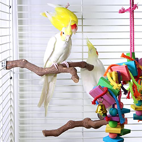 Bird Perch Nature Wood Stand for 3-4pcs Small Medium Parrots (2pcs Grape Perch) - Image 3