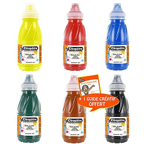 Lot de 6 flacons en 250 ml Encre de Chine