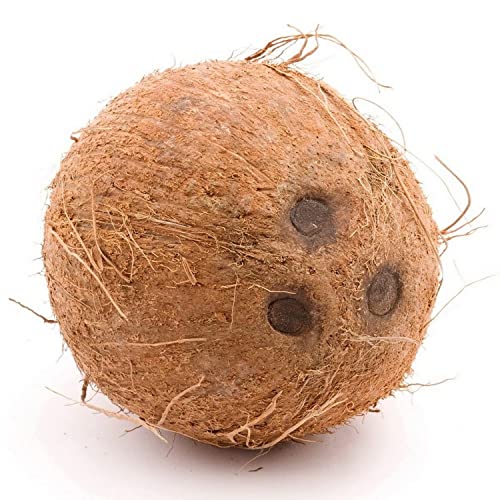 Lulu Coconut India 1pc