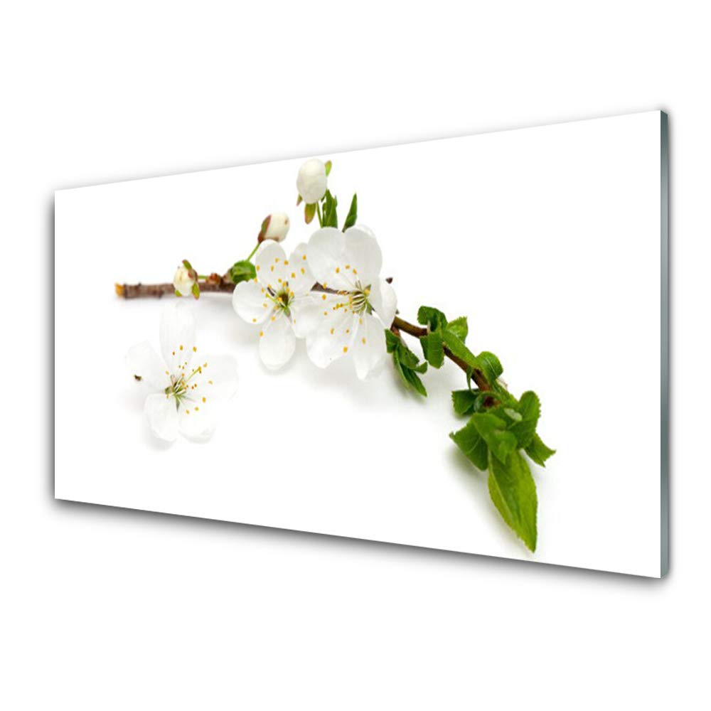 Tableau decoration moderne Tulup en plastique imprimé 125x50 cm effet verre premium