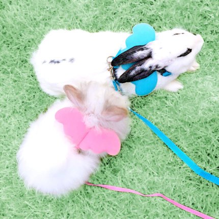 Image of Hypeety Rabbit Harness and Leash Set Escape Proof - Adjustable Bunny Vest Harness for Rabbits with Cute Angel Wings Design (Pink)
