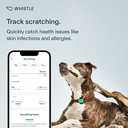 Whistle Health Smart Device - Dog Health Tracker