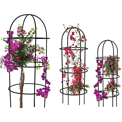 Image of CINAGRO Metal Obelisk Trellis Tubular Plant Cage,Plants /Plant Creepers /Climbers /Plant Stem Support /Climbing Support for Home Indoor & Outdoor - Durable, Black, Set of 3