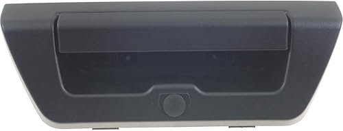 KarParts360 Para Ford F-150 Manija de puerta trasera 2015 2016 2017 | Bloqueo de alimentación | con orificio de cámara | Negro | Plástico |
