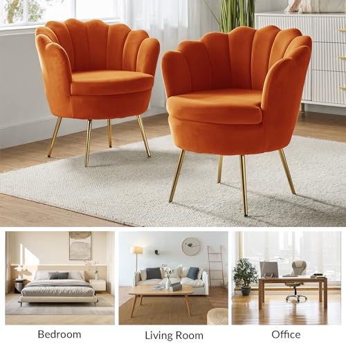 Image of HULALA HOME Modern Velvet Accent Chair with Shell Shaped Back, Cute Living Room Bedroom Armchair Sofa Chair with Gold Legs, Comfy Upholstered Vanity Chair for Makeup Room, Orange