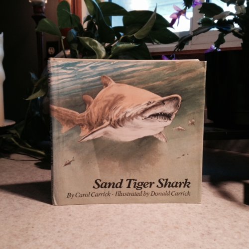 Preisvergleich Produktbild The Sand Tiger Shark