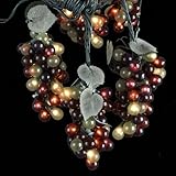Kurt Adler Indoor/Outdoor UL 100-Light Micro Bulb 5 Cluster Multi Grape Light Set