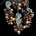 Kurt Adler Indoor/Outdoor UL 100-Light Micro Bulb 5 Cluster Multi Grape Light Set
