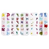 ❤ Exquisites Design: Schöne Farben, zarte echte Blumen, charmante Blütenblätter. Einzigartige japanische Nail Art Dekoration, separate Box, perfekt für Nail Art Dekoration.