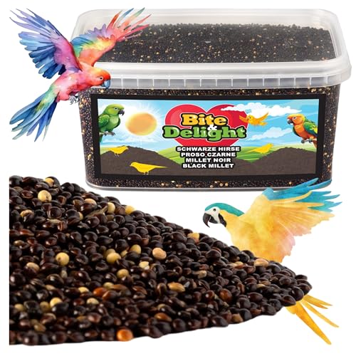 Bite & Delight 2kg Mijo Negro para Pájaros - Alimento Limpio y Puro para Ninfas y Periquitos - Comida para Aves Sin Aditivos - Pienso para Pájaros