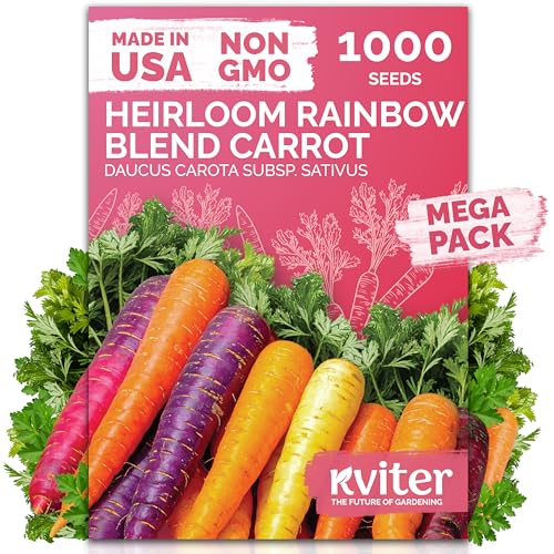 KVITER 1,000 Rainbow Carrot Seeds (Daucus Carota) - Baby Carrots Mix, Sweet & Tender Taste - Heirloom & Organic Carrots Seeds for Planting in Vegetable Garden, Raised Beds & Containers