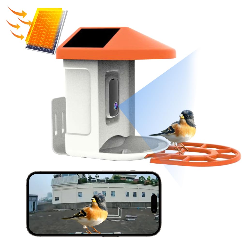 3T6B Comedero Pajaros con 1080P HD Camara, con Visión Nocturna, Identificación de Especies de Pájaros con AI,Intercomunicador Bidireccional,Captura Automática de Imagen/Videos de Aves,Impermeable IP65