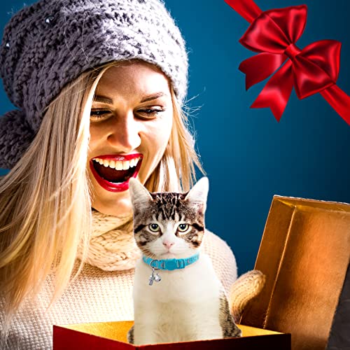LLHK Pacote com 2 coleiras para gatos breakaway e 2 etiquetas de nome, coleira refletiva de seguranç