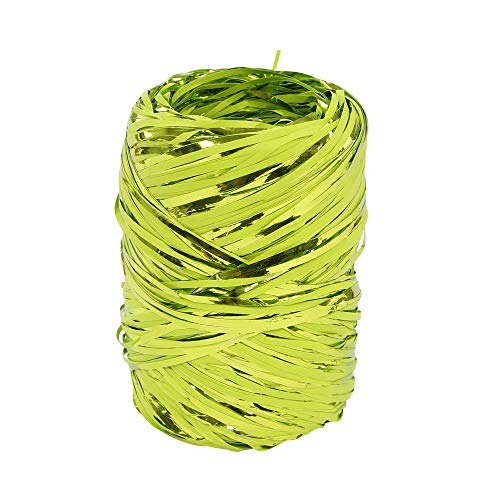 Clairefontaine 601843C - Une Bobine De Ruban Raphia Métallisé - Longueur 100 m - Largeur 1,3 cm - Couleur : Vert Anis - Loisirs Créatifs - Emballage Cadeau - DIY Multiples