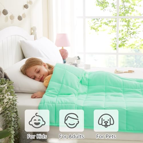 L'AGRATY Weighted Blanket - 36"x48" 3lbs Microfiber Material with Glass Beads Small Blanket for All-Season Summer Fall Winter Soft Thick