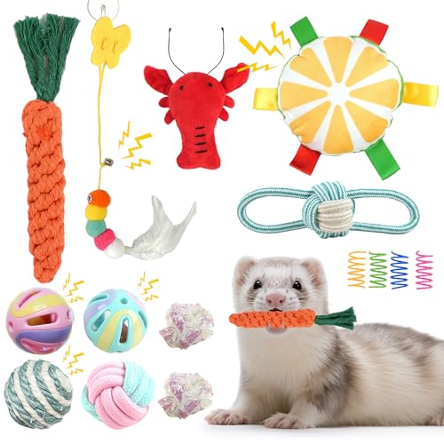 howaukf 15 Pack Ferret Chew Toys & Accessories Bell Balls Squeaky Teething Toys & Plush Sound Toys for Interactive Play for Ferrets Cats Dogs & Small Animals