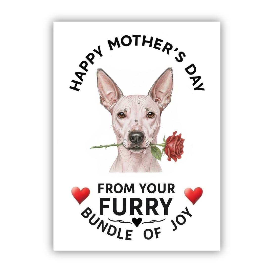 Mother’s Day Dog Card – Pet Mothers Day Greeting Card from the Dog - “Happy Mother’s Day” - Many Breeds Available (• American Hairless Terrier) — image 1