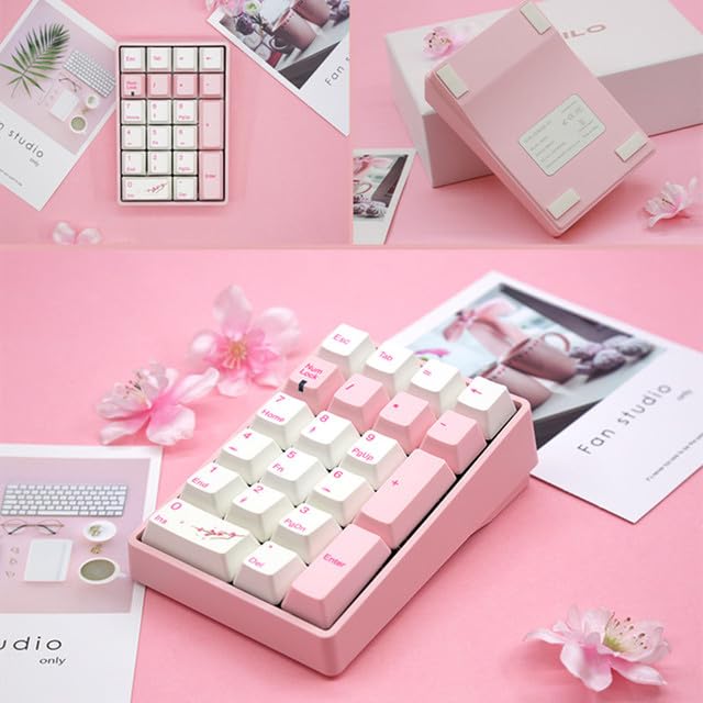 COMPAE - Varmilo VB21 Bluetooth Wireless Cherry Switch VB21 Panda Small 21 Keys Tablet Laptop Desktop Gaming Keyboard Mechanical Switch (Wireless Blossoms Brown Switch)