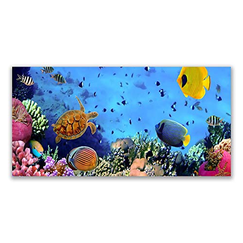Impression sur Verre Trempé Tulup 120x60 cm pour un Tableau Mural Moderne