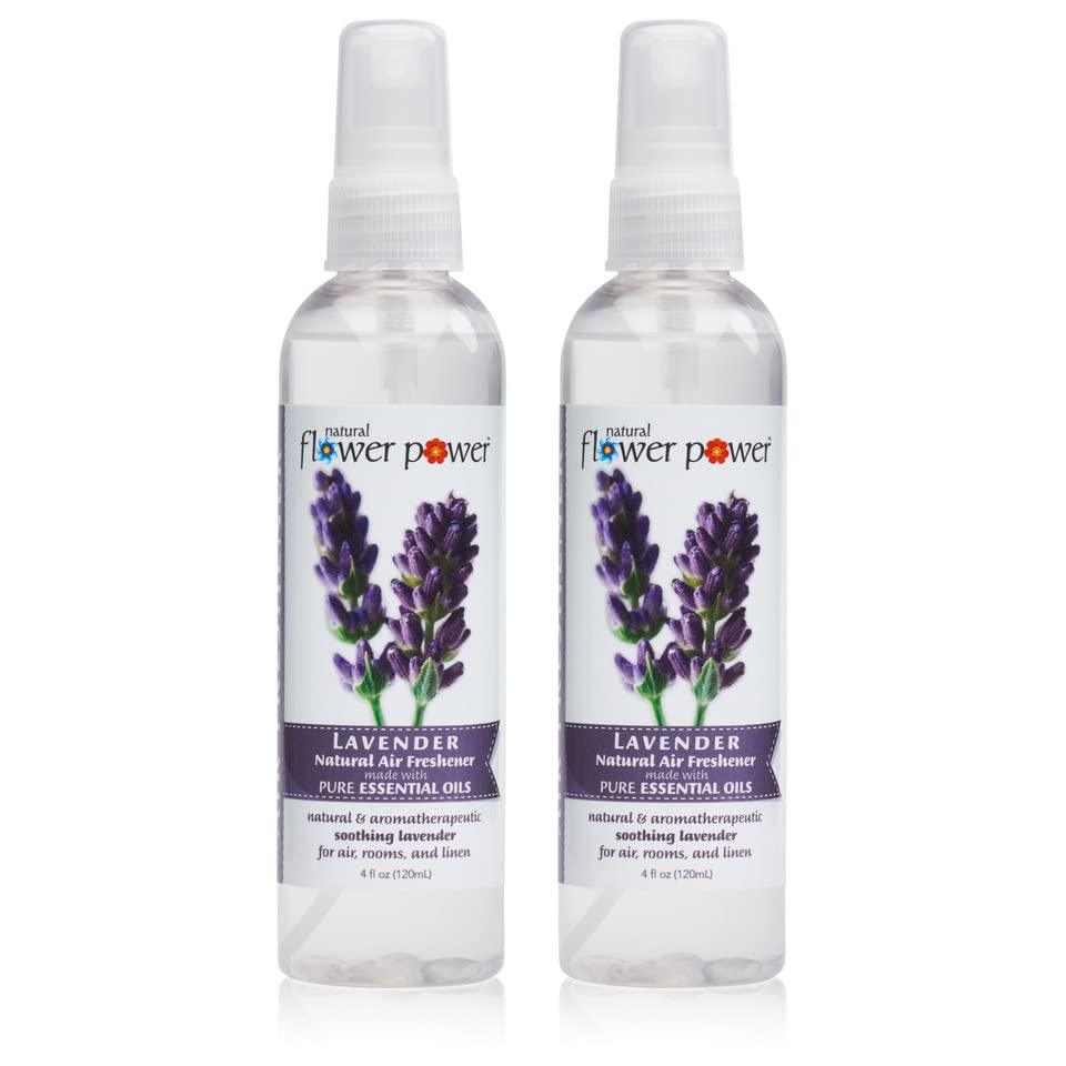 Best Air Freshener for Allergy Sufferers Top 5 in 2023