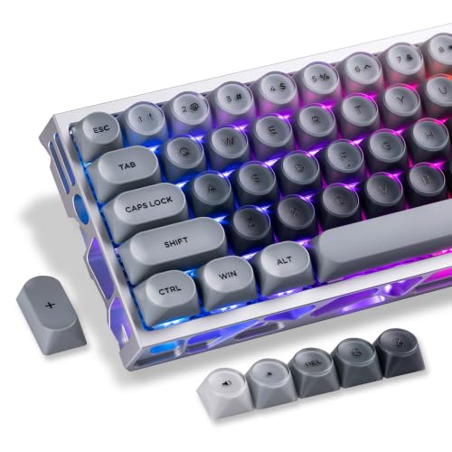 Image of dagaladoo PBT Keyboard keycaps,Grey moa keycaps Jelly