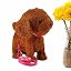 Brown Teddy (Battery Type)