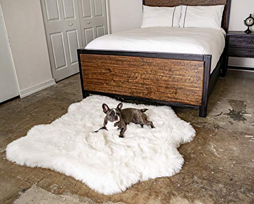 Puprug Faux Animal Print Memory Foam Orthopedic Dog Bed, Long-Lasting, Premium Memory Foam Base With Ultra-Soft Faux Fur Cover (Polar Bear Faux Hide) #TOP3