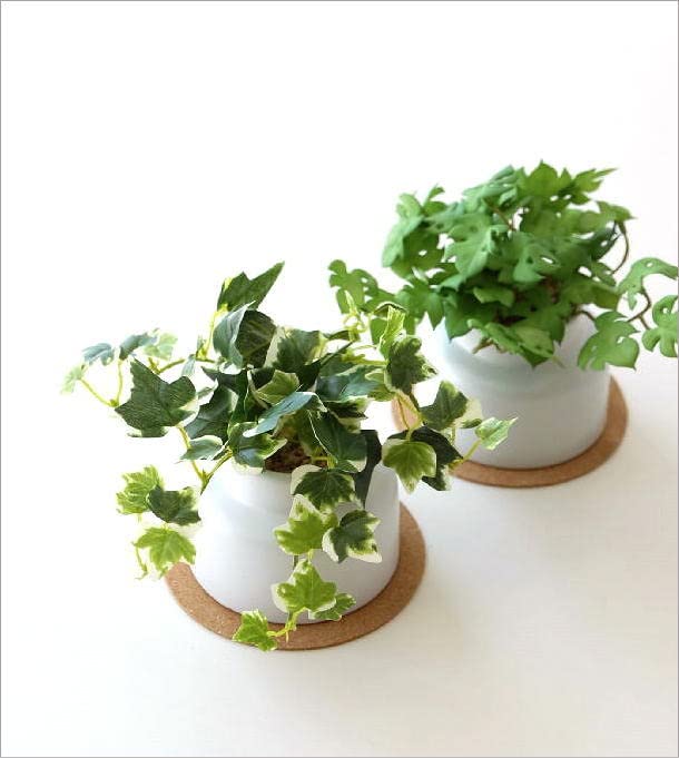 石膏オブジェ】【観葉植物】【フェイクグリーン】【フェイクオブジェ 石膏オブジェ】【観葉植物】【フェイクグリーン】【フェイクオブジェ