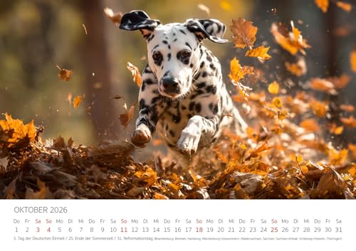 Edition Seidel Premium Kalender Dalmatiner Hundespaß gepunktet 2026 Format DIN A3 Wandkalender Hundekalender Hund Welpe Tierkinder Hunderasse Haustier niedlich