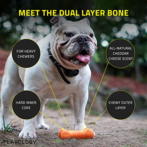 Playology-Dual-Layer-Bone-Toy-for-Large-Dogs-35lbs-up-Engaging-All-Natural-Cheddar-Cheese-Scented-Durable-Dog-Chew-Toy-for-Heavy-Chewers-Easy-to-Clean-Interactive-Non-Toxic - Cucciolini Doodles   Playology-Dual-Layer-Bone-Toy-for-Large-Dogs-35lbs-up-Engaging-All-Natural-Cheddar-Cheese-Scented-Durable-Dog-Chew-Toy-for-Heavy-Chewers-Easy-to-Clean-Interactive-Non-Toxic