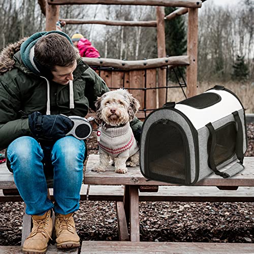Petsfit Borsa per il trasporto di cani di piccola