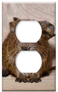 Switch Plate Outlet Cover - Guinea Pig Baby Guinea Pigs Young Animal Cute