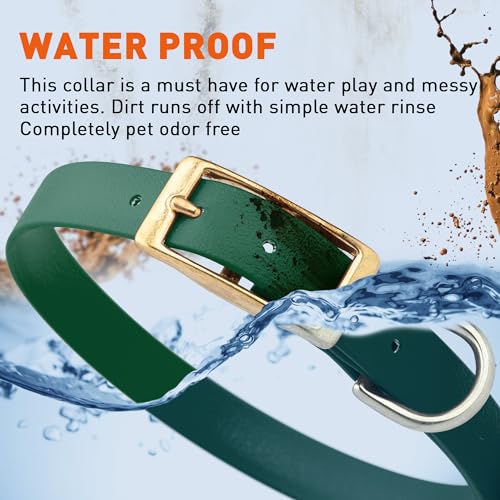 Image of Viper Biothane Heavy Duty Waterproof Dog Collar Strong Coated Nylon Webbing w /Solid Brass Hardware Odor-Proof Easy to Clean High Performance Fits Small Medium or Large Dogs, Hunter Green