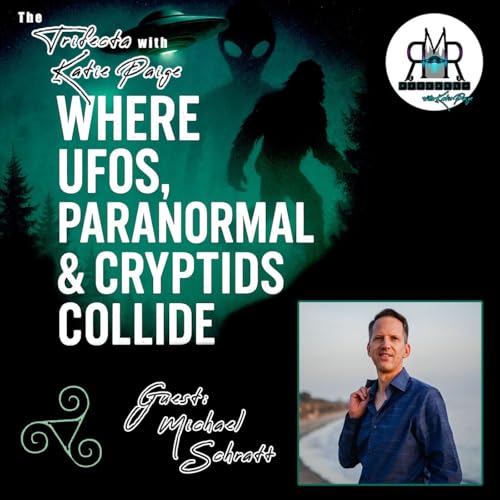 Page de couverture de Inside UFO Crash Retrievals & Secret Programs with Michael Schratt