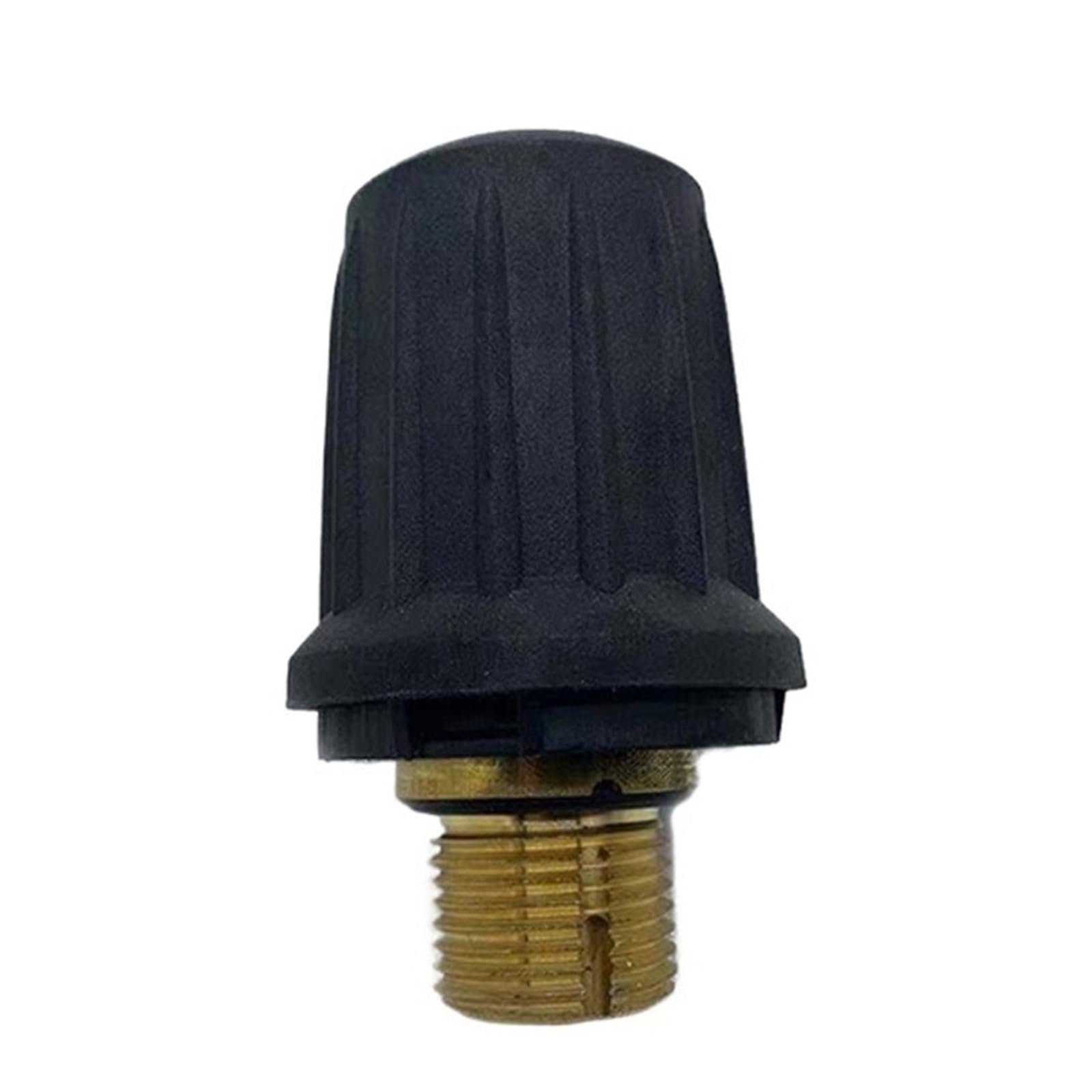 Pjfcewfdgx Sg4-4 Brass Valve, Steam Cleaner Replacement Parts Sc1 Sc2 Sc4