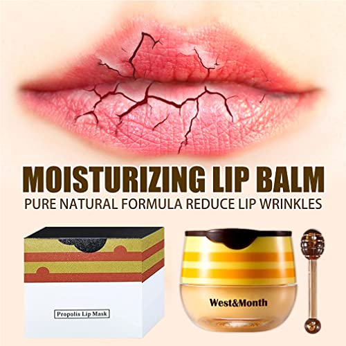 Most Popular Bee Balm Lip Balm Honey Pot, Lip Exfoliating Bee Balm Lip Mask, Propolis Nourish Moisturizing Honey Lip Mask Lip Balm With Lip Brush, Hydrating & Prevention Dry Lip Care Products(4Pcs) #TOP4