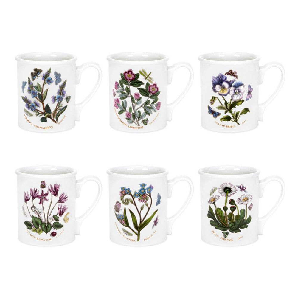 Portmeirion Botanic Garden - Taza de desayuno de 255 ml (6 unidades)