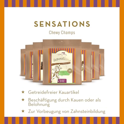 Terra Canis Sensations Chewy Champs - Pferdefleisch 100g I Natürliche, getrocknete Kauartikel I Beschäftigung durch Kauen | Ergänzungsfuttermittel für Hunde