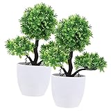 Fausses petites plantes - cette fausse plante décorative est pour et amis qui aiment plantes n'ont pas de , petite fausse plante