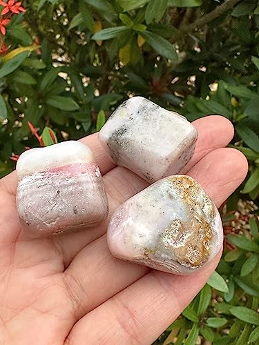Image of GAF TREASURES 1 /2 LB Pink Opal Tumbled Stones, Polished Pink Opal Gemstone, Pink Opal Healing Crystals (Pink Opal)
