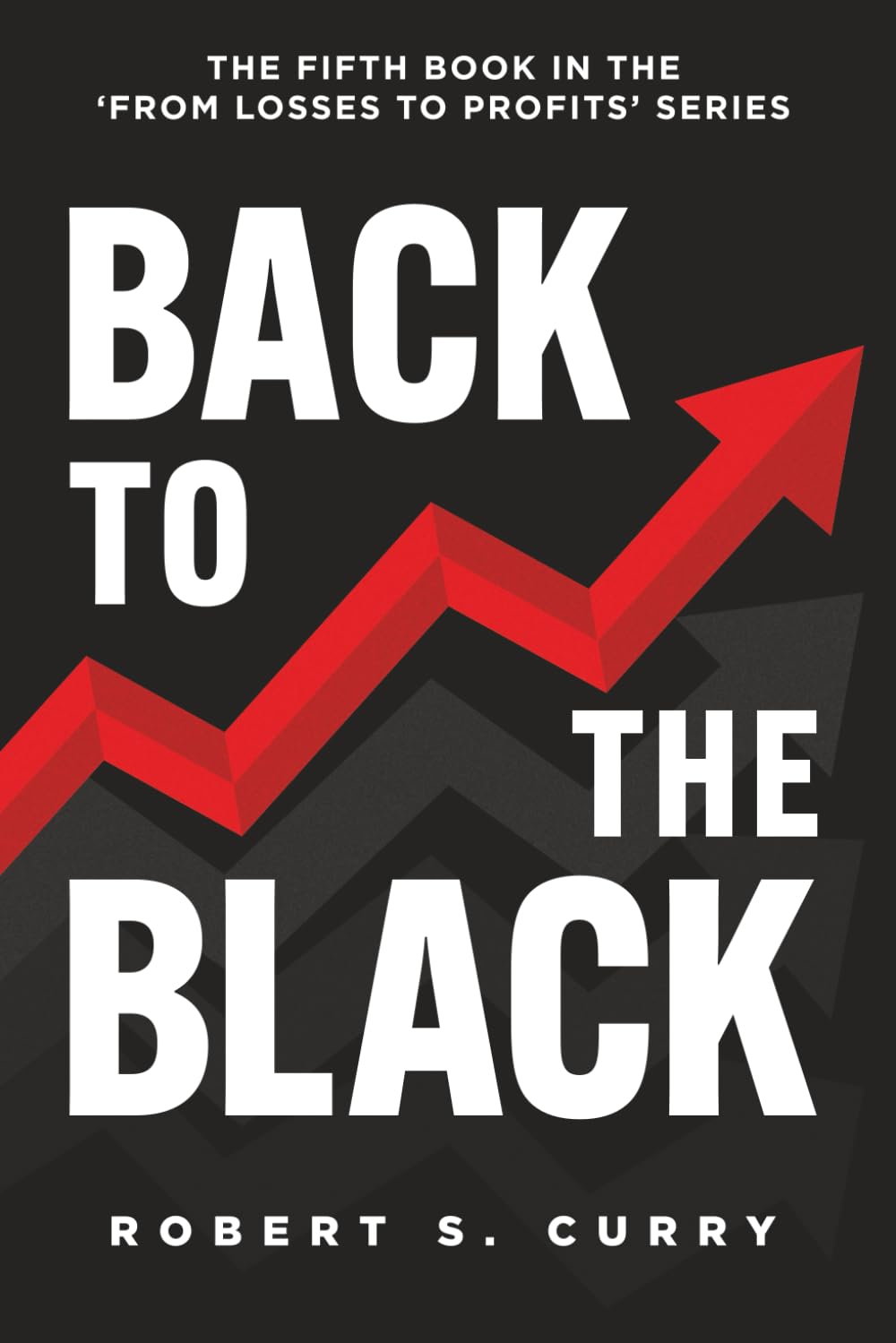 Back to the Black: The Fifth Book in the 'From Losses to Profits' Series