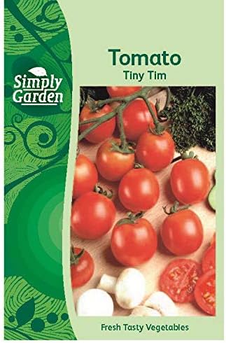 Tomato Seeds Tiny Tim – Dwarf Cherry Tomato Variety for Containers & Small Gardens – Easy Grow Your Own Vegetables - View 4