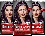 Brillance Intensiv-Color-Creme 888 Dunkle Kirsche Stufe 3 (3 x 160 ml), dauerhafte Haarfarbe mit Diamant-Glanz-Effekt & Pflege-Conditioner, 10 Wochen Farbintensität