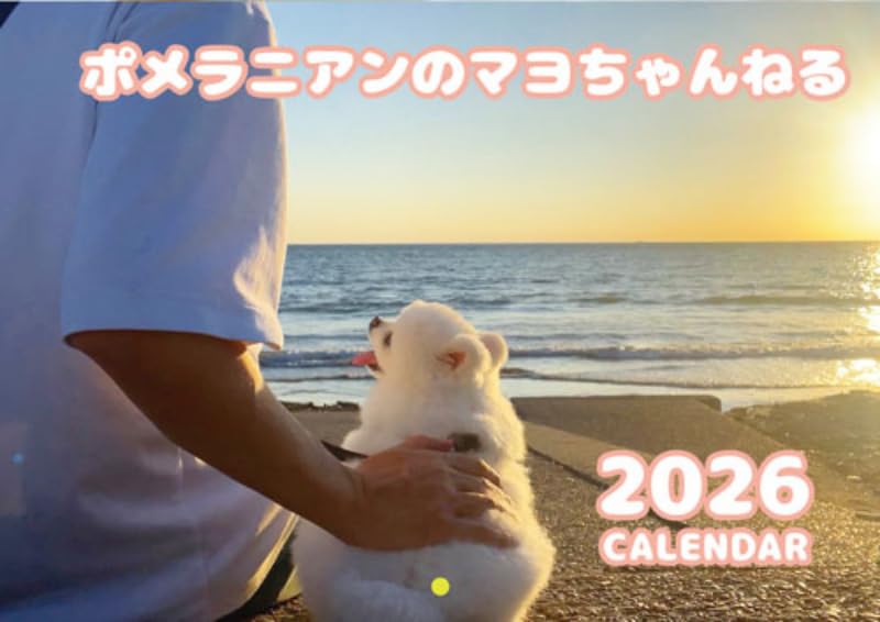 Amazon | 【予約販売】 ポメラニアンのマヨちゃんねる 犬 2026年
