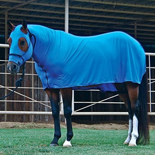 X-Large Solid Full Body Royal Blue
