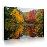 UIRINGART Follaje otoñal lienzo reflexivo arte mural obras escénicas junto al lago mural de hojas coloridas póster de naturaleza pintado para la decoración del dormitorio 65x100cm