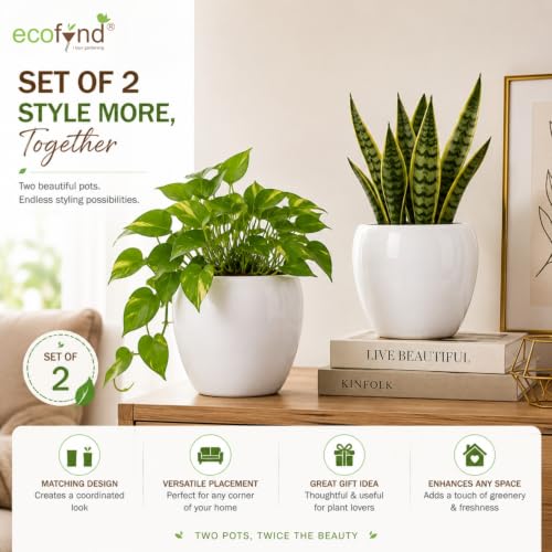 Image of ecofynd 5.1 Inch Ceramic Plant Pots with Drainage Hole, Modern Decorative Clay Flower Pots for Indoor Plants, Home Garden Decor for Living Room, Bedroom & Interior Spaces (Pack of 2, CPOT047-WHT)