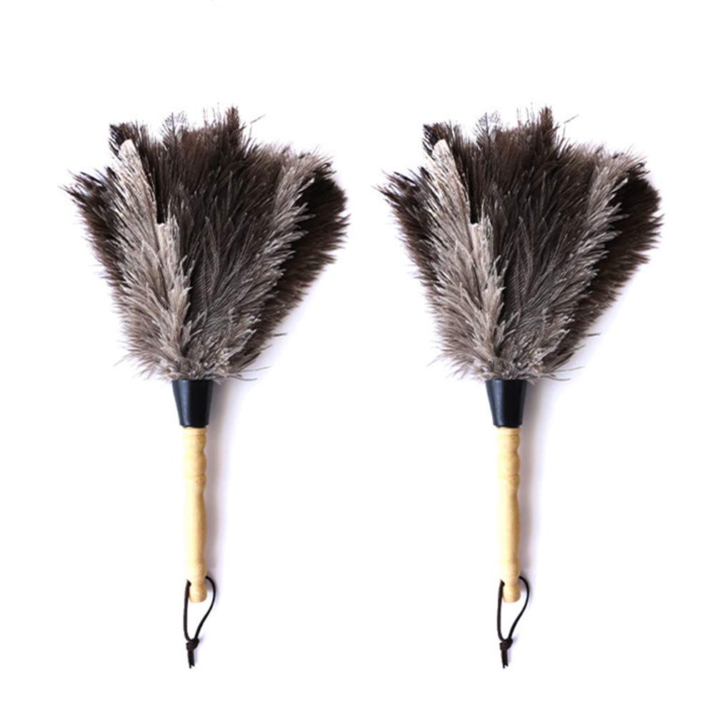 Natural Gray Ostrich Feather Duster, Car Duster Interior/Exterior